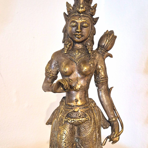 Indisch/Himalaya