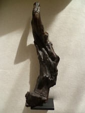 Mooreiche Skulptur aus