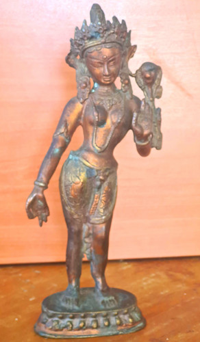 Indische göttin meenakshi - göttin,